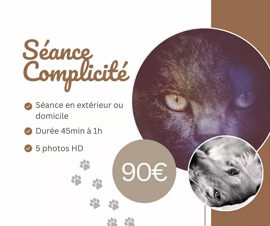 tarif séance canine animalière complicité