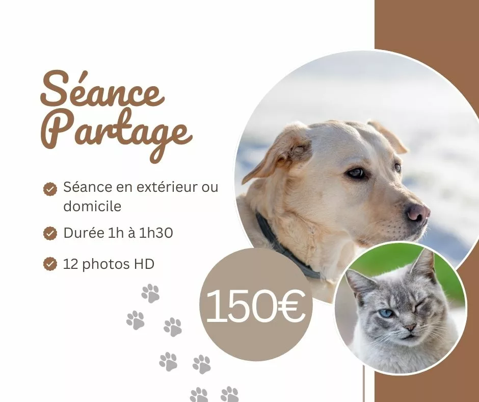 séance canine, animalière partage